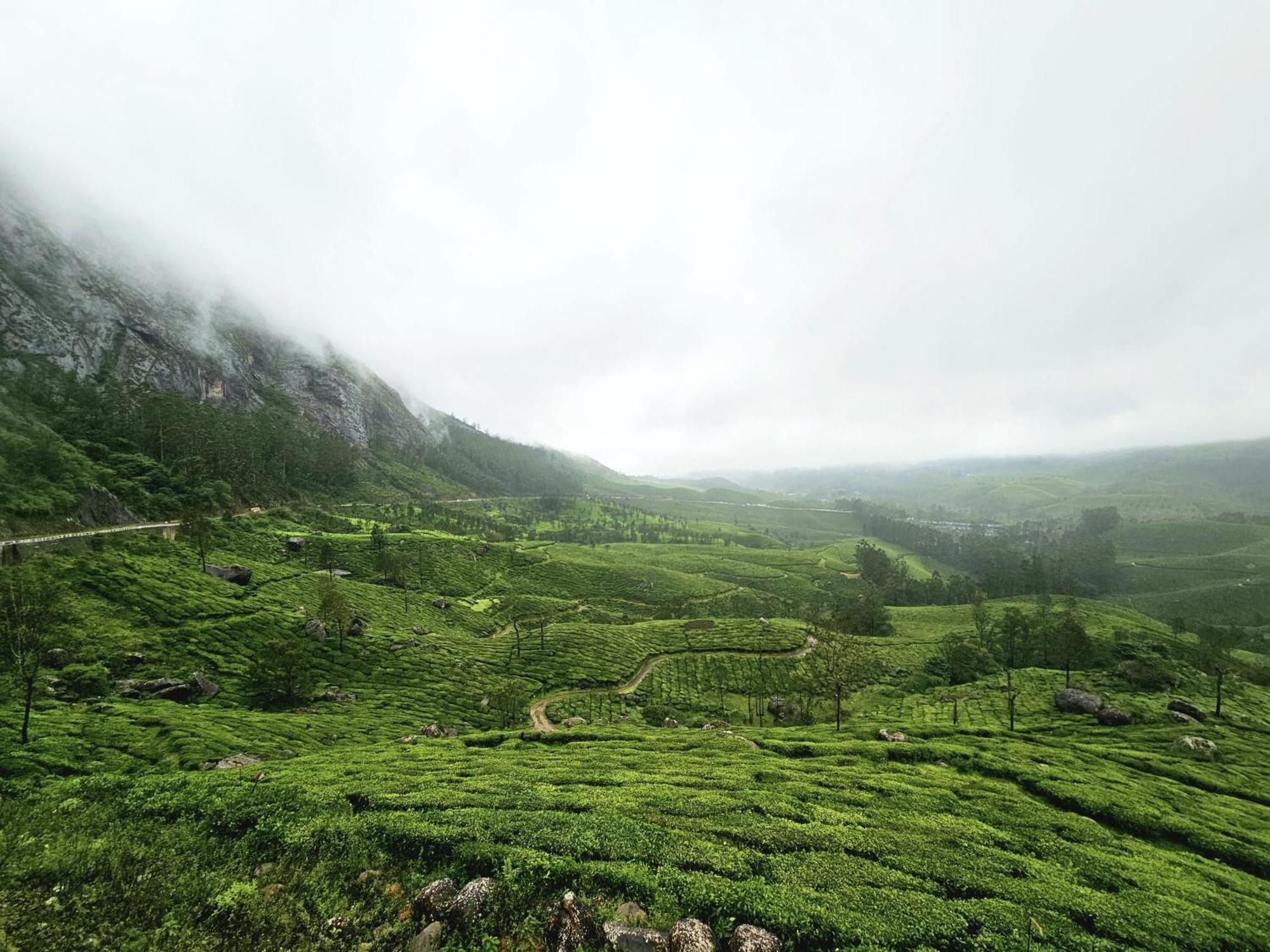 Munnar Bethel Varkis Hotel Exterior photo